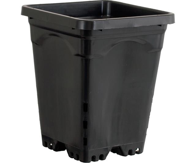Active Aqua 7" x 7" Square Black Pot, 9" Tall