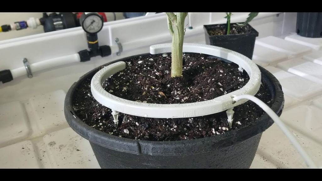 Netafim, Netbow 5" watering ring