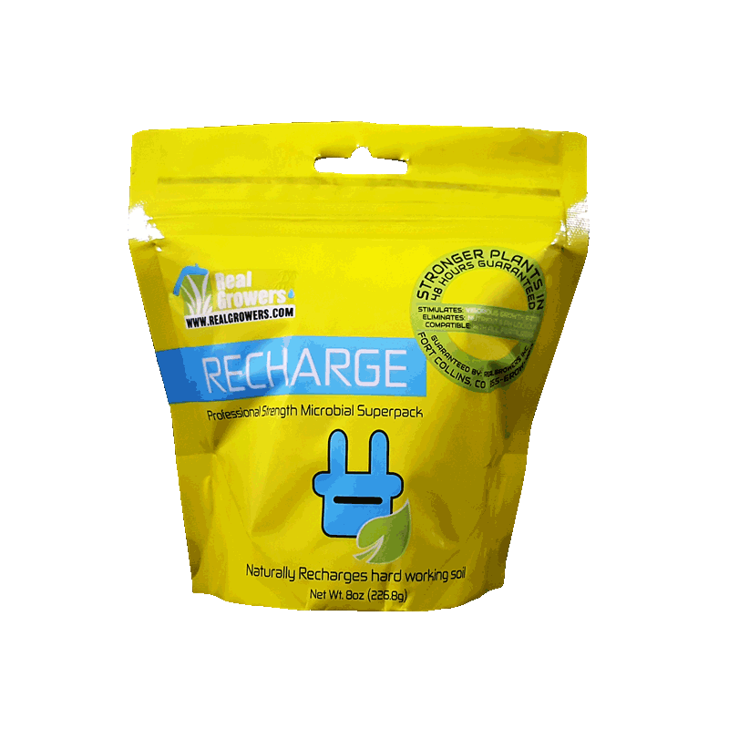 Real Growers Recharge 8oz Bag