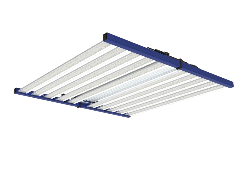 Tarantula Borg Evolution, V3, 120 Vac