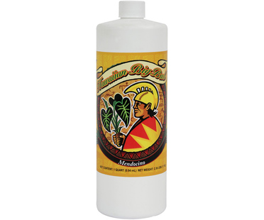 [GR5355] GROW MORE Mendocino Hawaiian Big Bud, 1 qt.