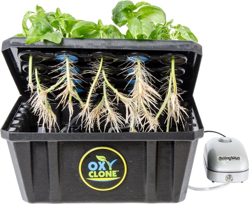 [OX20SYS] oxyCLONE PRO Series 20 Site Cloning System