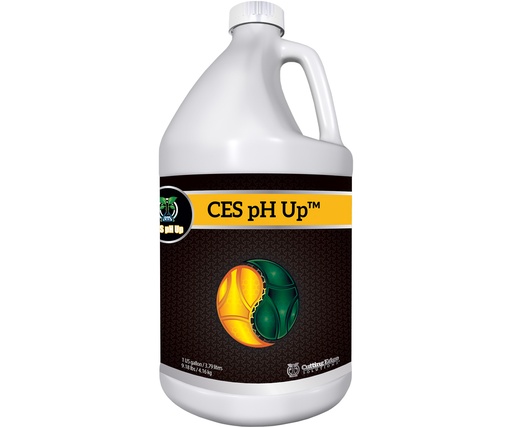 [CES3704] Cutting Edge Solutions pH Up, 1 Gal